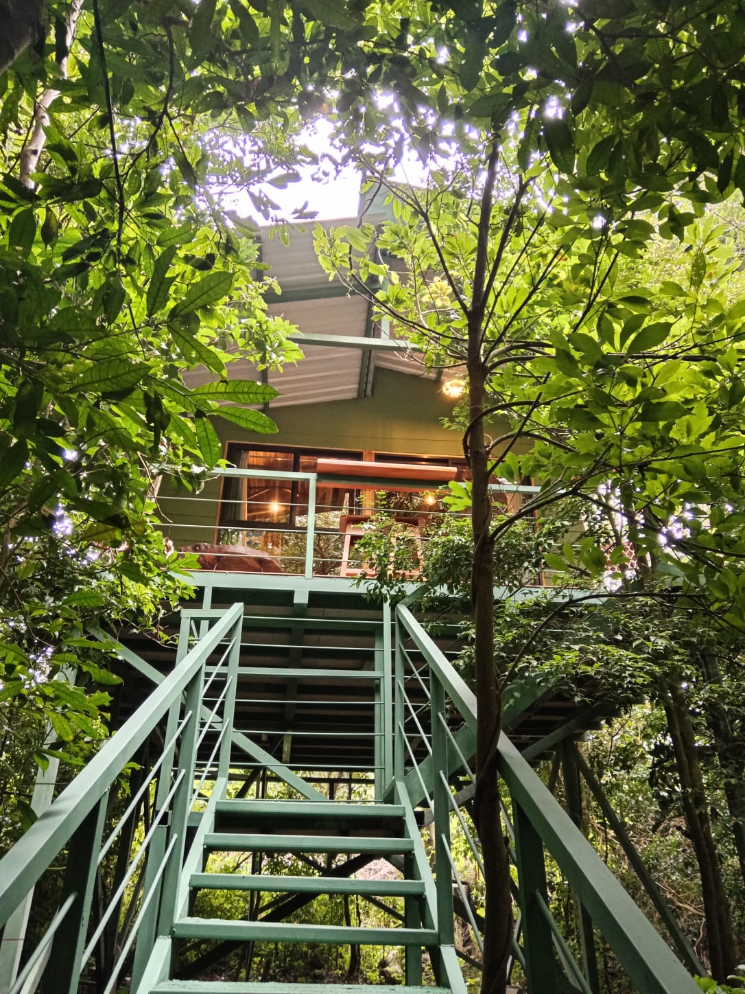 Hummingbird Tree House
